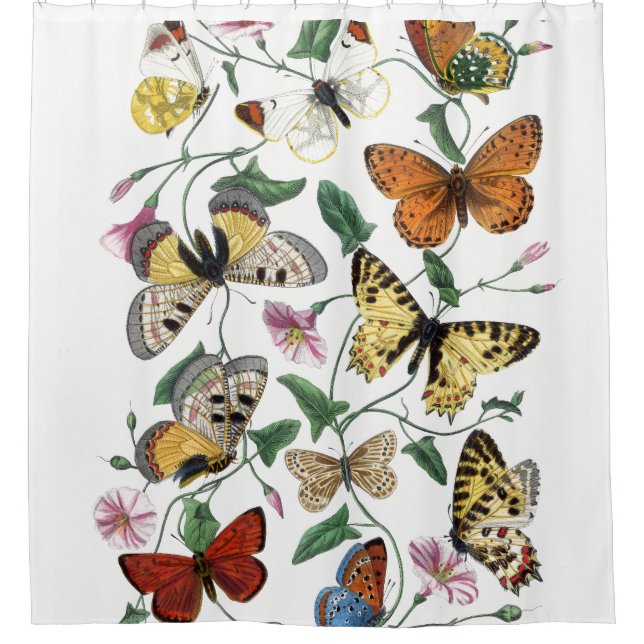 Vintage Butterflies Shower Curtain (Front)