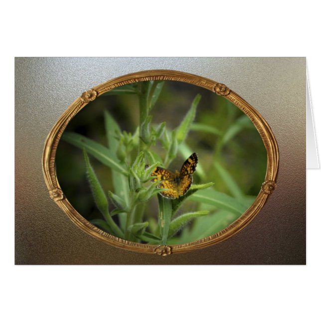 Vintage Butterfly (Front Horizontal)