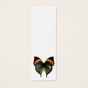 Vintage Butterfly - 1800's Antique Butterfly Litho