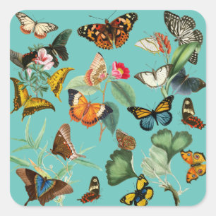 Vintage Butterfly Art, Many Kinds and Colours Square Sticker