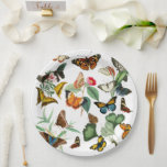 Vintage Butterfly Art, Many Kinds & Colours, White Paper Plate<br><div class="desc">Beautiful Vintage Butterfly Art with Many Kinds and Colours on white background.</div>