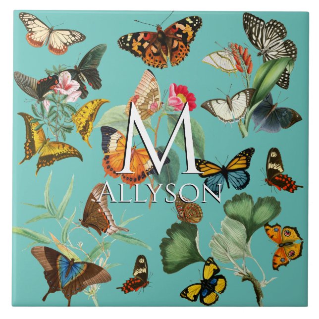 Vintage Butterfly Art, Many Kinds on Teal Tile (Front)