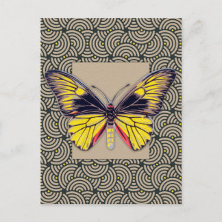 Vintage Butterfly Art Postcard