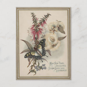 Vintage Butterfly & Australian Flowers Christmas Postcard