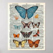 Vintage Butterfly Botanical #2 on Dictionary Page