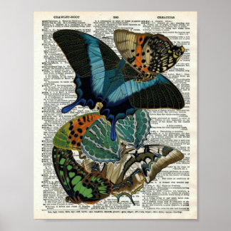 Vintage Butterfly Botanical #3 on Dictionary Page Poster