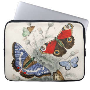 Vintage Butterfly Botanical Scientific Illustratio Laptop Sleeve