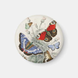 Vintage Butterfly Botanical Scientific Illustratio Magnet