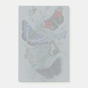 Vintage Butterfly Botanical Scientific Illustratio Post-it Notes
