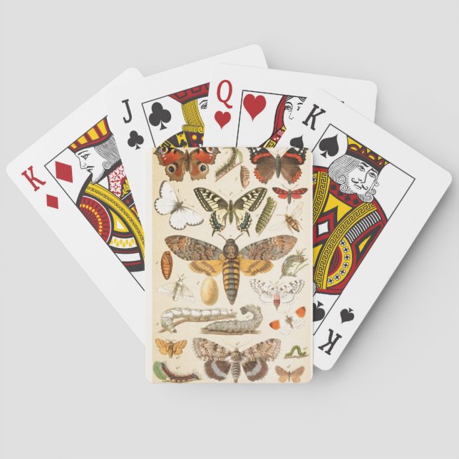 Vintage Butterfly Caterpillar Old Illustration Art Playing Cards (Back)
