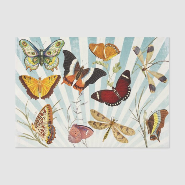 Vintage Butterfly Collage Decoupage Tissue Paper (Front)