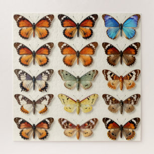 Vintage Butterfly Collection Grid Display Jigsaw Puzzle