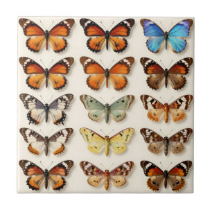 Vintage Butterfly Collection Grid Display Tile