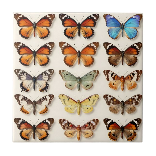 Vintage Butterfly Collection Grid Display Tile (Front)
