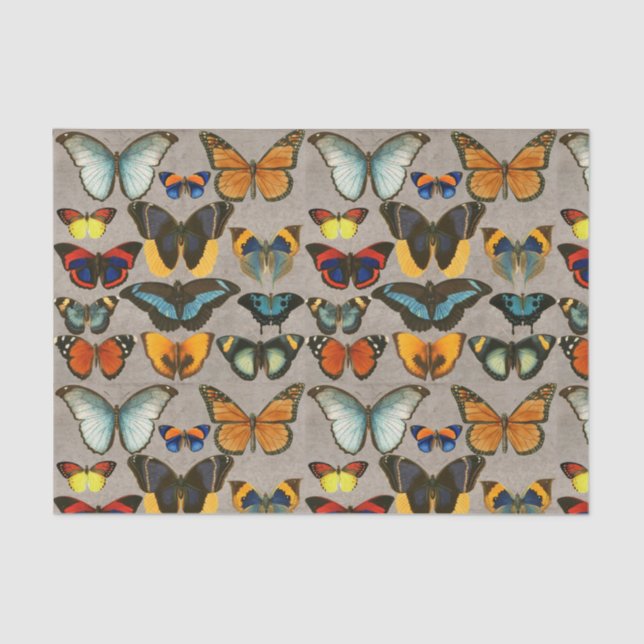 Vintage Butterfly Colourful Entomology Decoupage Tissue Paper (Front)