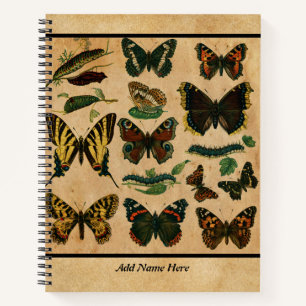 Vintage Butterfly Customisable Name  Notebook