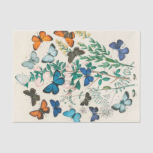 Vintage Butterfly Decoupage Paper Floral Botanical