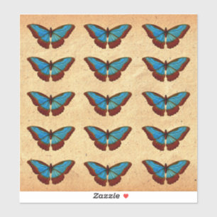 Vintage Butterfly Illustration