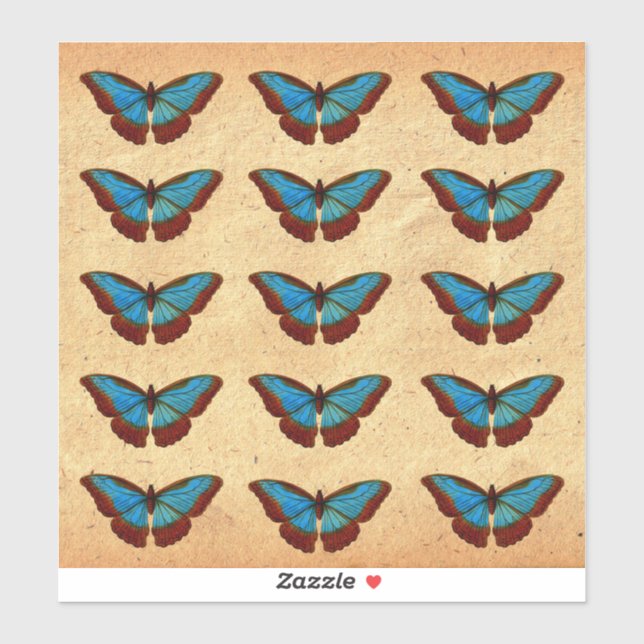 Vintage Butterfly Illustration (Sheet)