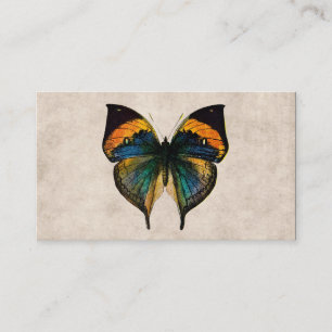 Vintage Butterfly Illustration 1800's Butterflies Business Card