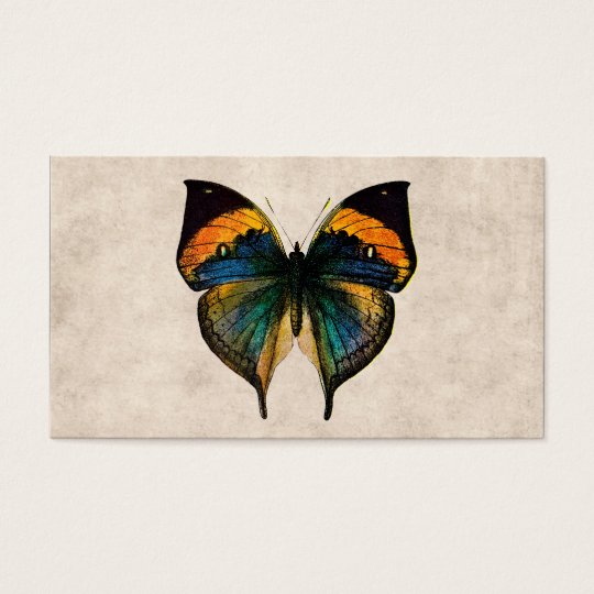 Vintage Butterfly Illustration 1800's Butterflies Business Card
