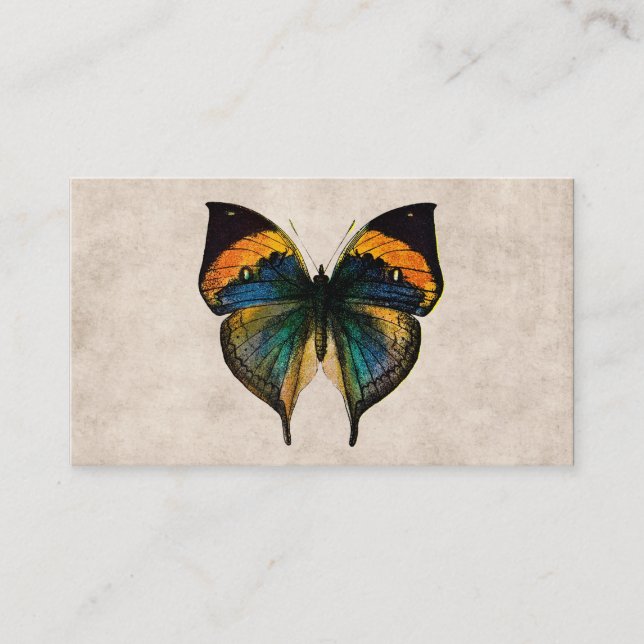 Vintage Butterfly Illustration 1800's Butterflies Business Card (Front)