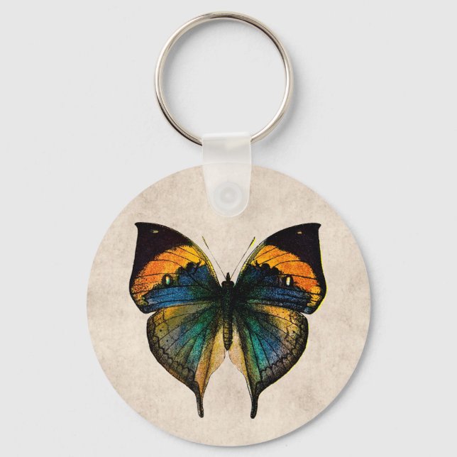Vintage Butterfly Illustration 1800's Butterflies Key Ring (Front)
