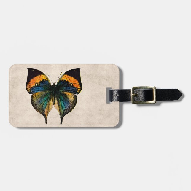 Vintage Butterfly Illustration 1800's Butterflies Luggage Tag (Front Horizontal)