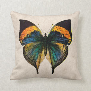 Vintage Butterfly Illustration - Butterflies Cushion