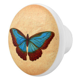 Vintage Butterfly Illustration Ceramic Knob