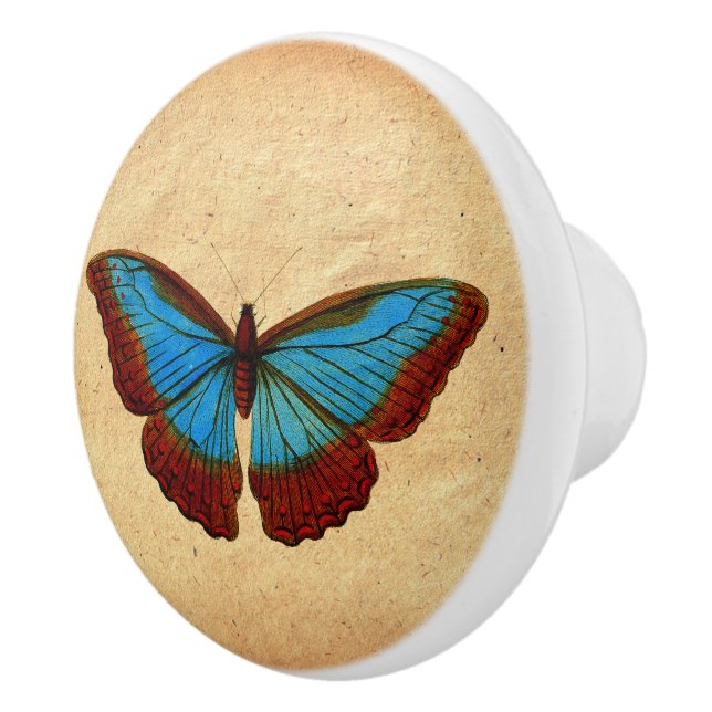 Vintage Butterfly Illustration Ceramic Knob (Right)