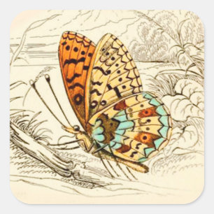 Vintage Butterfly Illustration, Orange and Beige Square Sticker