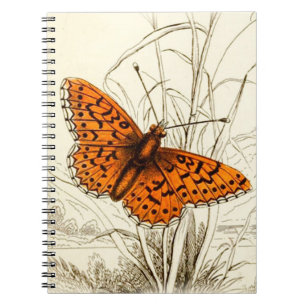 Vintage Butterfly Illustration, Orange and Black Notebook
