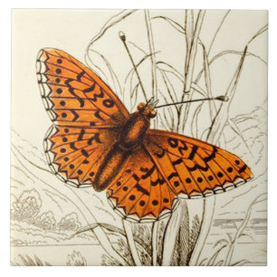Vintage Butterfly Illustration, Orange and Black Tile