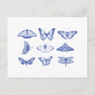 Vintage Butterfly Illustrations in Blue Postcard