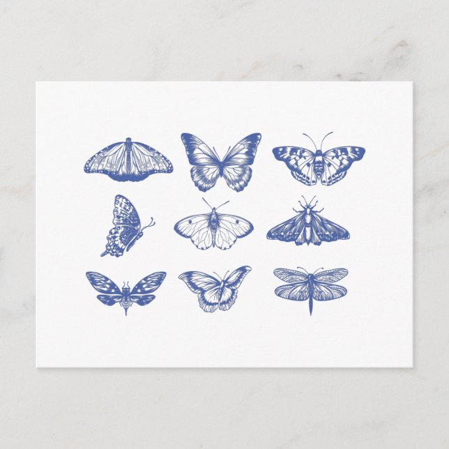 Vintage Butterfly Illustrations in Blue  Postcard (Front)
