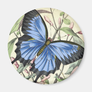 Vintage butterfly magnet