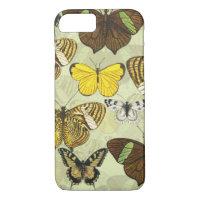 Vintage Butterfly Moth Chart Pattern