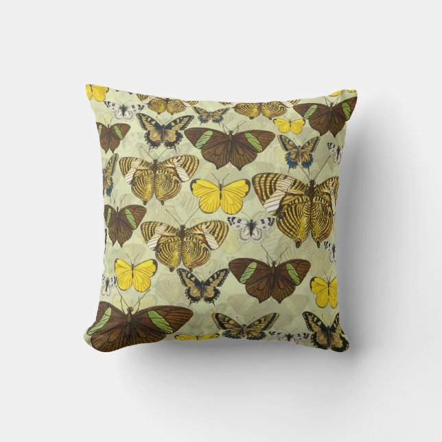 Vintage Butterfly Moth Chart Pattern Cushion (Front)