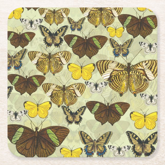 Vintage Butterfly Moth Chart Pattern Square Paper Coaster (Front)