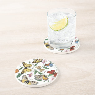 Vintage Butterfly & Moth Painting Coaster