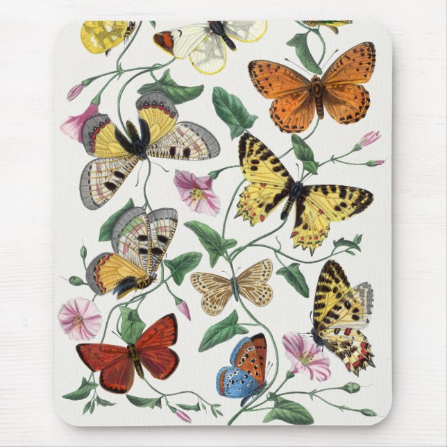 Vintage Butterfly & Moth Painting Mouse Mat (Front)