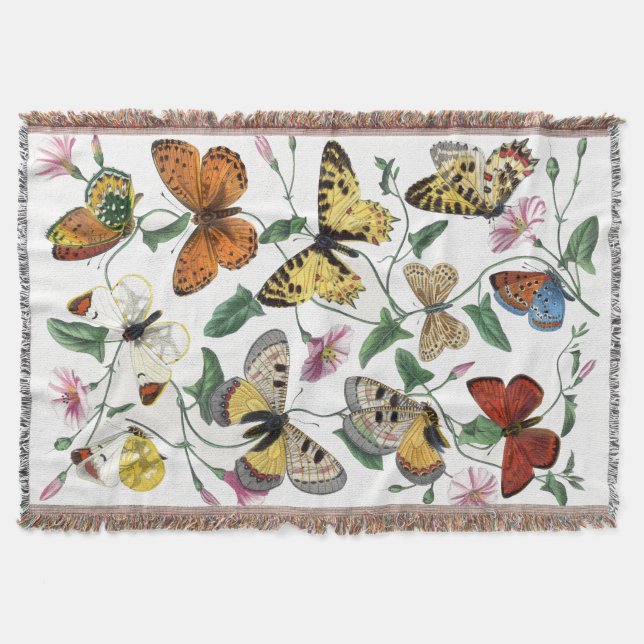 Vintage Butterfly & Moth Painting Throw Blanket (Front)
