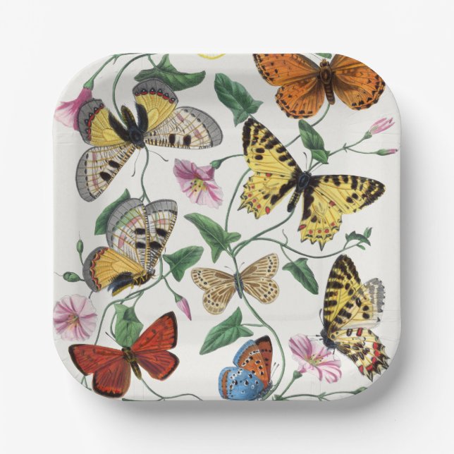 Vintage Butterfly & Moth Paper Plates (Front)