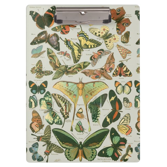 Vintage Butterfly Moth Pattern Print Clipboard (Front)