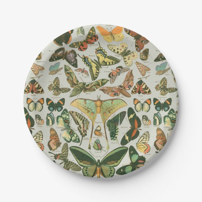 Vintage Butterfly Moth Pattern Print Paper Plate (Front)