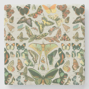 Vintage Butterfly Moth Pattern Print Stone Coaster