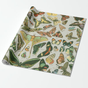 Vintage Butterfly Moth Pattern Print Wrapping Paper