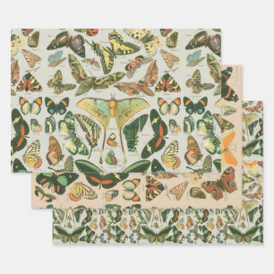 Vintage Butterfly Moth Pattern Print Wrapping Paper Sheet