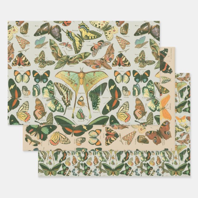 Vintage Butterfly Moth Pattern Print Wrapping Paper Sheet (Set)